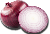 Curry Carft - Restaurant Img