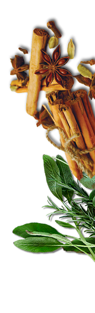 Curry Carft - Restaurant Img