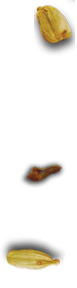 Curry Carft - Restaurant Img