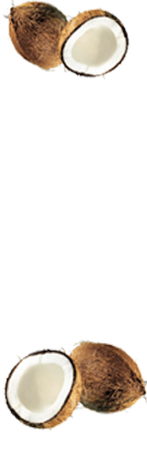 Curry Carft - Restaurant Img