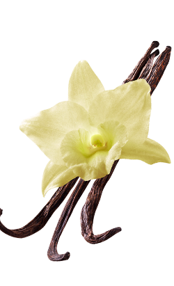 Curry Carft - Restaurant Img