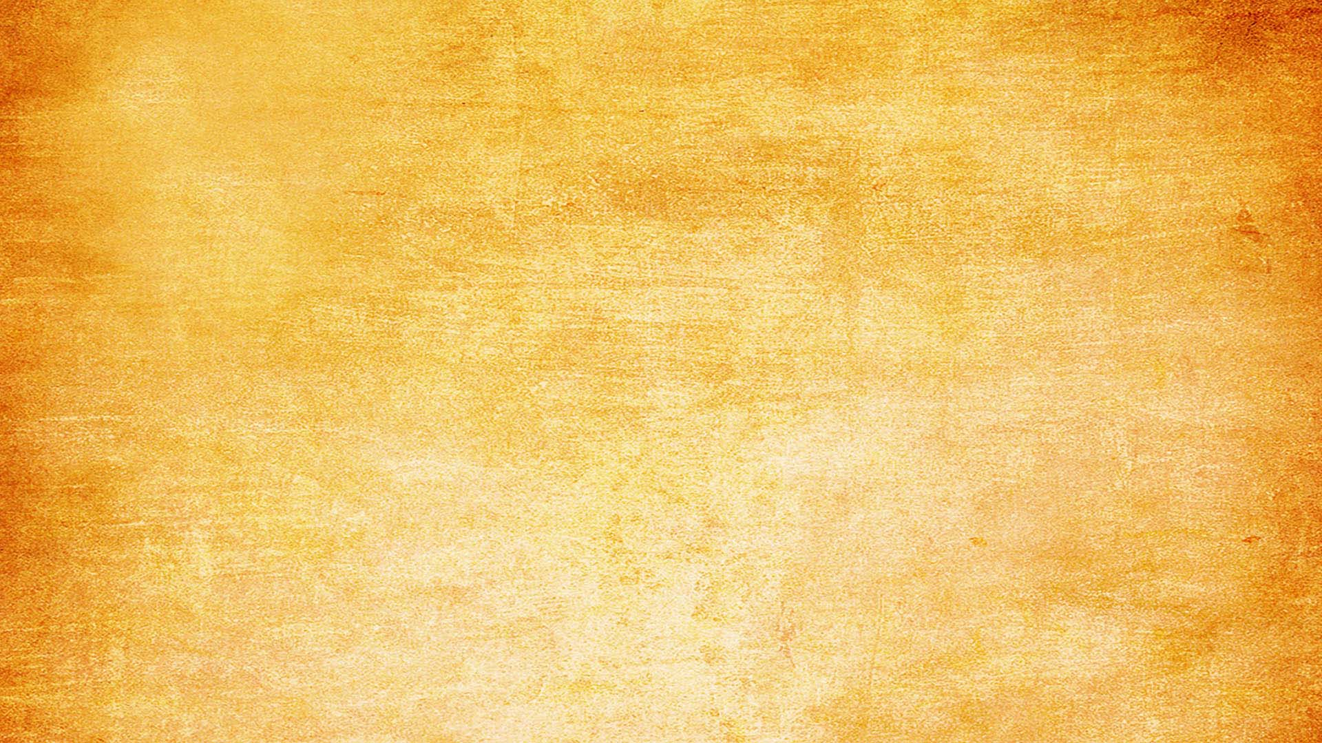 Curry Carft - Restaurant Img